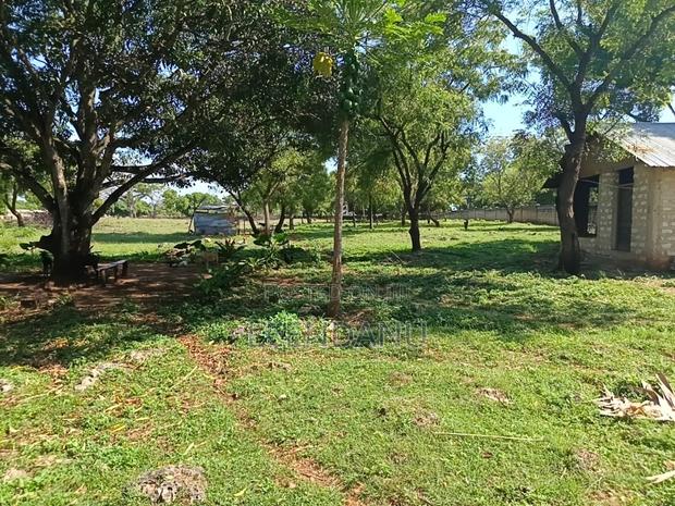 1/4 Acre Plot for Sale - thumbnail 4