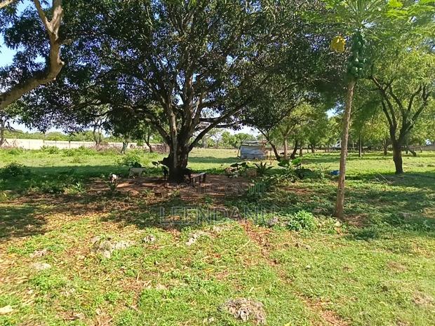 1/4 Acre Plot for Sale - thumbnail 3