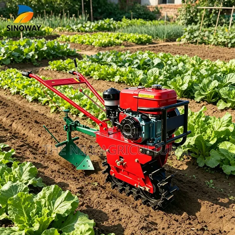 Chain-Type Cultivator Equipped With Plows and Seeding Tools