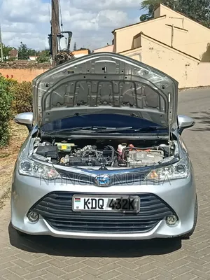 Toyota Corolla Fielder 2018 Silver