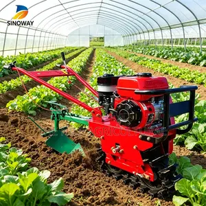Diesel Chain Tiller Heavy Duty Farm Work for Sale Kenya