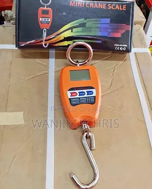 Portable Digital Mini Crane Scale