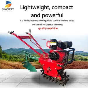 Chain Type Mini Tiller Narrow Rows Vegetables Maize Kenya