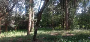 Karen Near Ndege Rd Prime 1ac, Indigenous Trees Ideal for Town Houses
