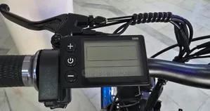 Eco Bike Fat Tire Electric Bike Size 26