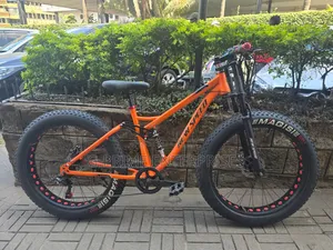 Dual Suspension Fat Tire Bike
