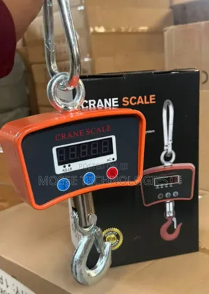 500KG Digital Load Weighing Crane Scale