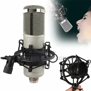 Metal Shock Mount Stand Microphone