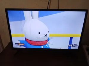 24 Inch Digital TV