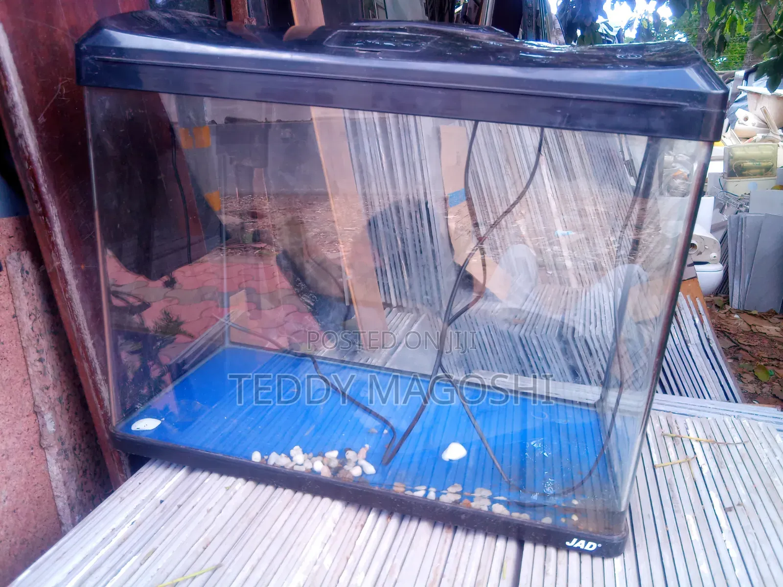 Aquarium With Accessories