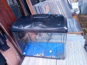 Aquarium With Accessories