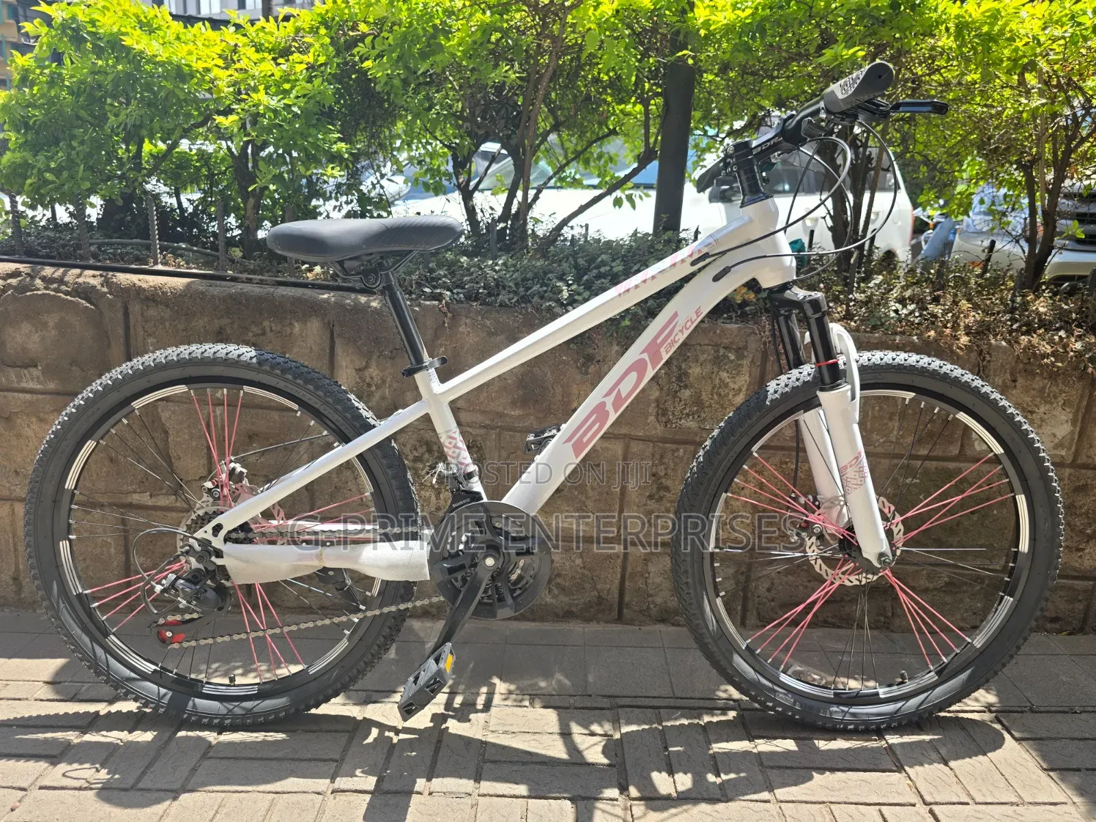 BDF Multi Speed Mountain Bike