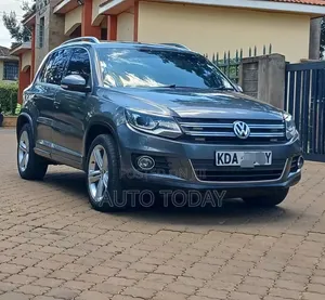 Volkswagen Tiguan 2015 Gray