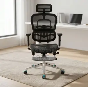 Office Chair : All-Mesh Office Ergonomic Seat