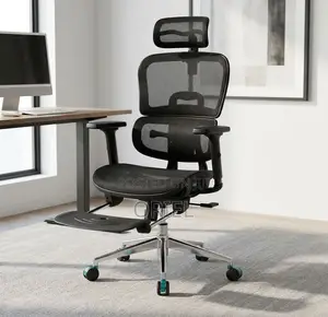 Office Chair : All-Mesh Office Ergonomic Seat