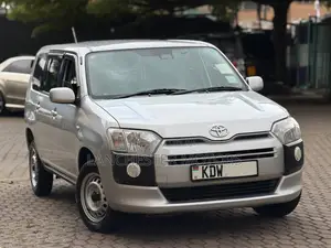 Toyota Probox 1.3 DX 2WD 2019 Silver