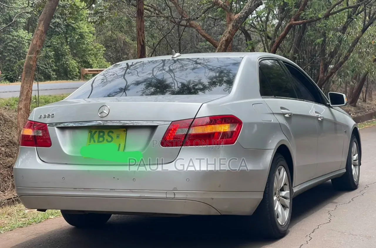 Mercedes-Benz E220 2010 Silver