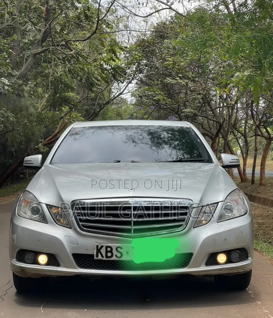 Mercedes-Benz E220 2010 Silver