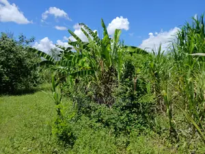 1.5 Acres Available for Sale