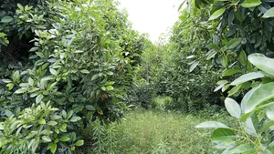 3quater Land +Home at Karunga Bahati NKR on Sale at 3.75m