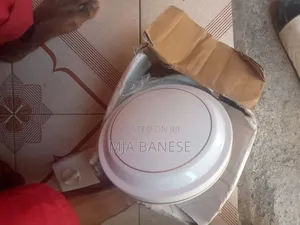 Am Selling a 5 Speed Ceiling Fan