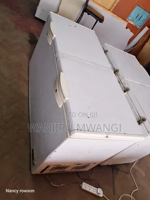 Double Door Deep Freezer