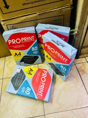 500 Sheets Premium White Printing Papers