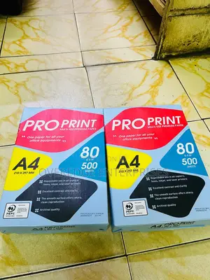 Office Printing Paper A4 Size Pro Print