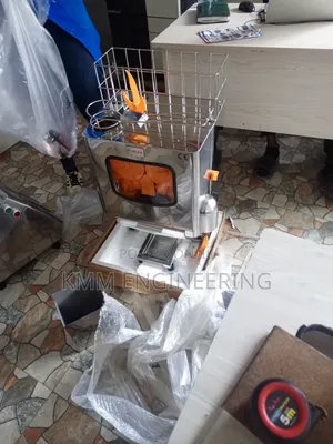 Commercial Electric Juicer