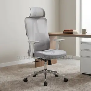 Gray Orthopedic Office Chair With Headrest