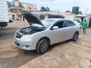 Toyota Premio 2009 Silver