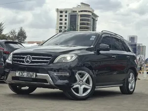 Mercedes-Benz M Class 2014 Gray