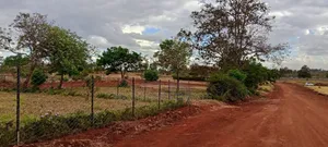 Quarter an Acre on Sale at Kamakis-Karuguru