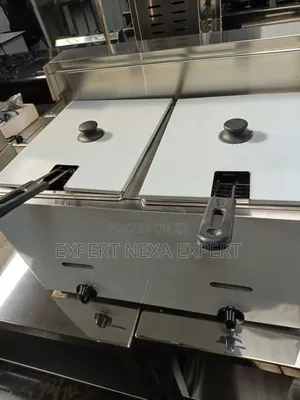 Double Fryer Gas