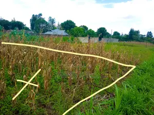 Tabuga Plot 50×100