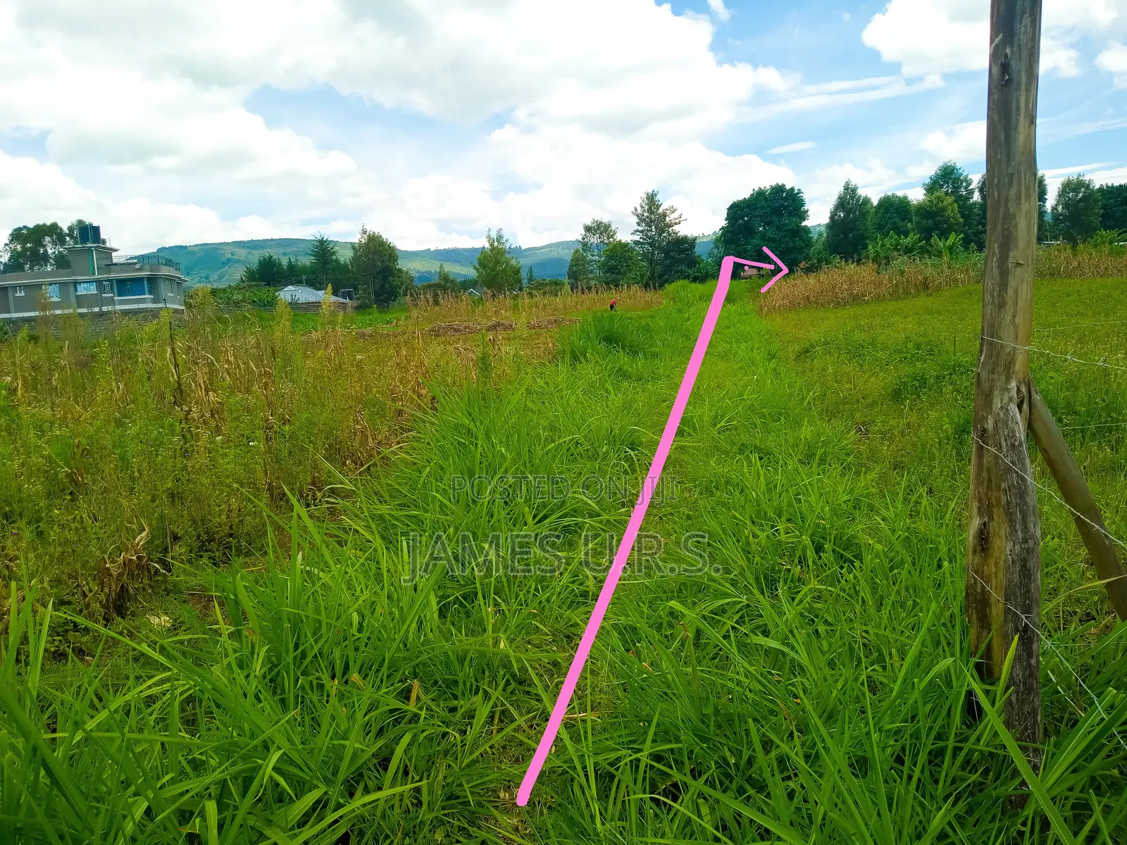 Tabuga Plot 50×100