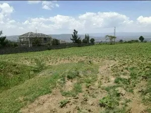 West Height Prime Plots for Sale- Ingobor, Nakuru