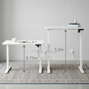 Office Desk: Sit Stand Electric Gaming Desk