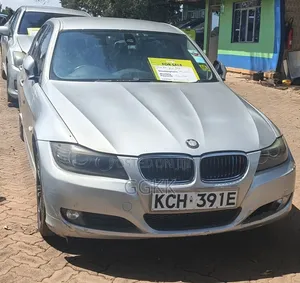 BMW 318i 2009 Silver
