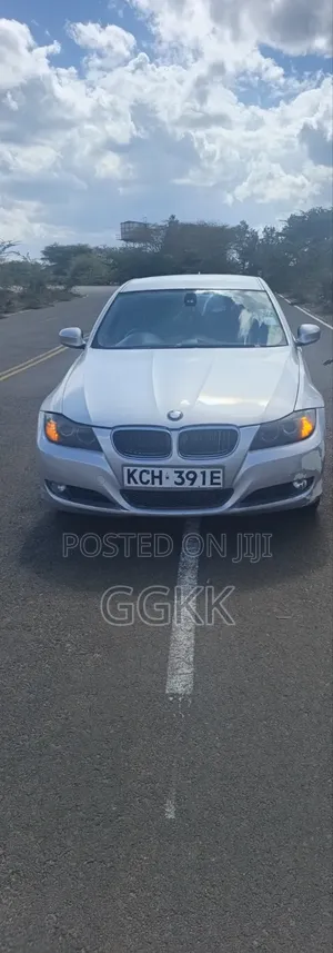 BMW 318i 2009 Silver