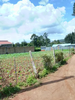 1⁄8 Nyambari Center
