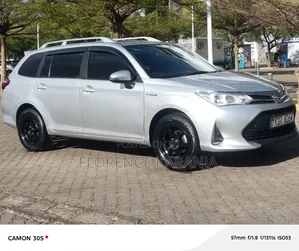 Toyota Corolla Fielder 2018 Silver