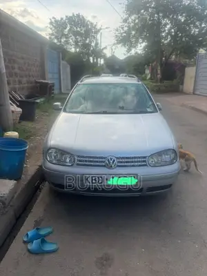 Volkswagen Golf 2003 Silver