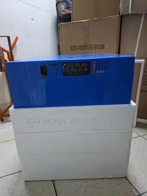 256Eggs Electric Incubator