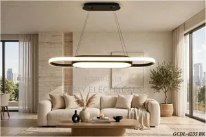 Modern Oval Shaped Chandelier