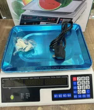 ACS-40 Heavy-Duty Digital Platform Weighing Scale