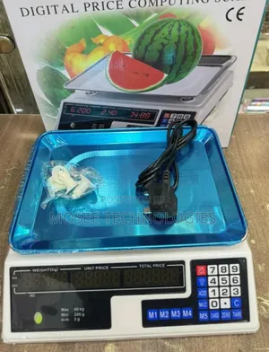 ACS-40 Professional Digital Shop Weighing Scale