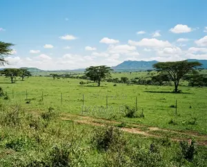 1 Acre for Sale in Kitengela Near Ostrich Farm