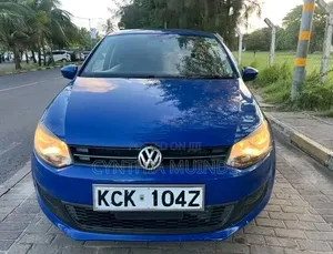 Volkswagen Polo 2010 Blue