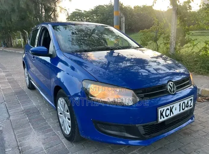 Volkswagen Polo 2010 Blue